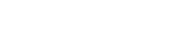 Accsoon