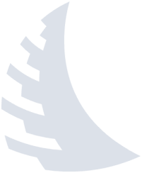 Angelbird