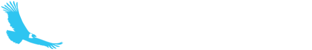 Kondor Blue