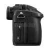 Panasonic GH5S-5