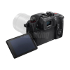 Panasonic GH5S-6