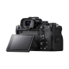 Sony Alpha 1-2