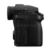 Panasonic S5 II-4