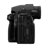 Panasonic S5 II-6