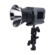 Amaran COB 60d S Daylight LED Monolight